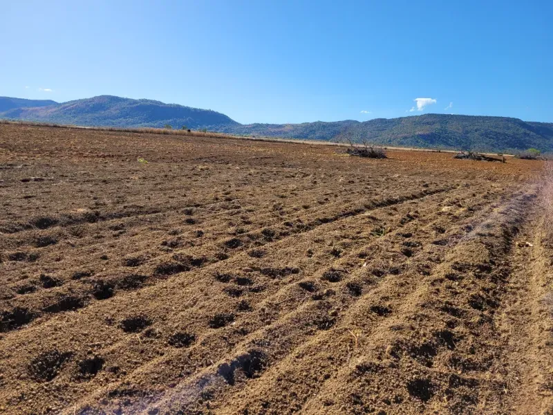 Fazenda em Brejinho de Nazaré/Tocantins — Ref JACVIG — Imagem 2
