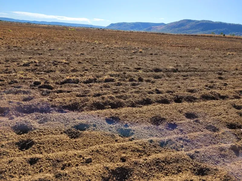 Fazenda em Brejinho de Nazaré/Tocantins — Ref JACVIG — Imagem 3
