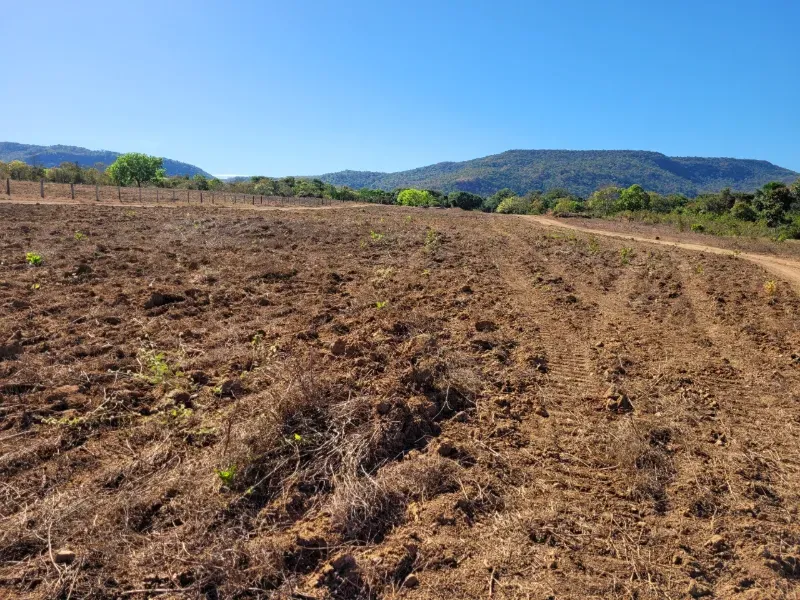 Fazenda em Brejinho de Nazaré/Tocantins — Ref JACVIG — Imagem 4