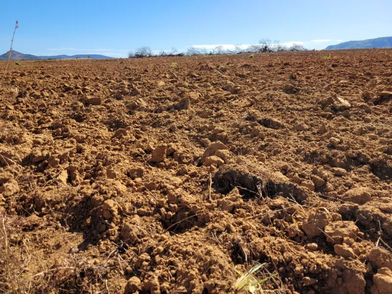 Fazenda em Brejinho de Nazaré/Tocantins — Ref JACVIG — Imagem 5