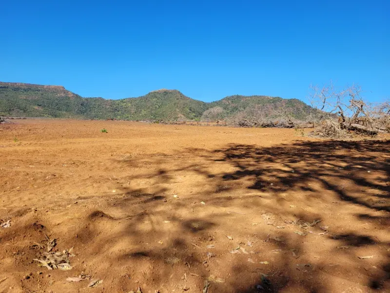Fazenda em Brejinho de Nazaré/Tocantins — Ref JACVIG — Imagem 7