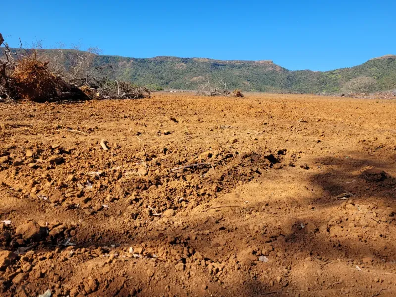 Fazenda em Brejinho de Nazaré/Tocantins — Ref JACVIG — Imagem 8