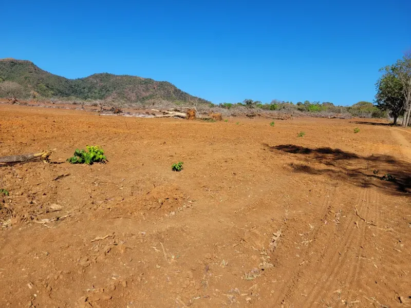 Fazenda em Brejinho de Nazaré/Tocantins — Ref JACVIG — Imagem 11