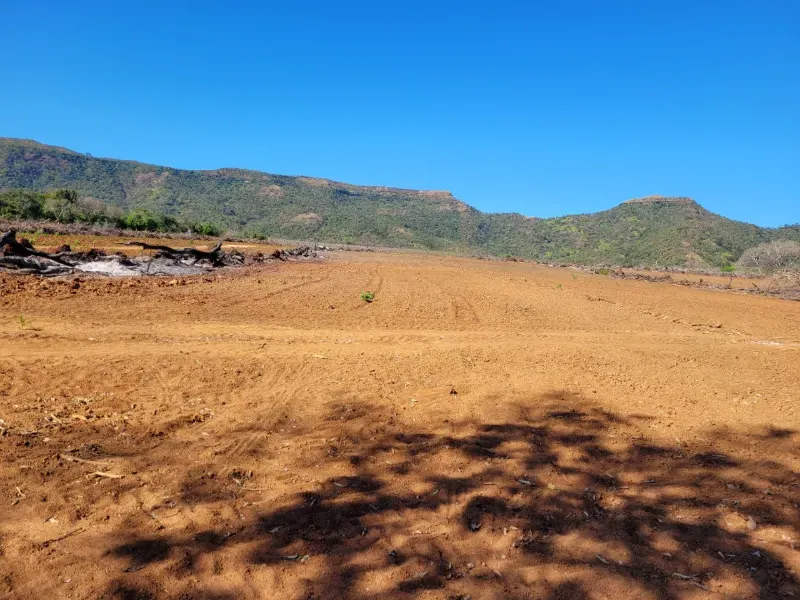 Fazenda em Brejinho de Nazaré/Tocantins — Ref JACVIG — Imagem 12