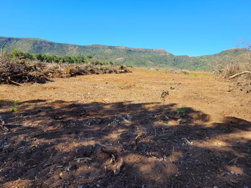 Fazenda em Brejinho de Nazaré/Tocantins — Ref JACVIG — Imagem 14
