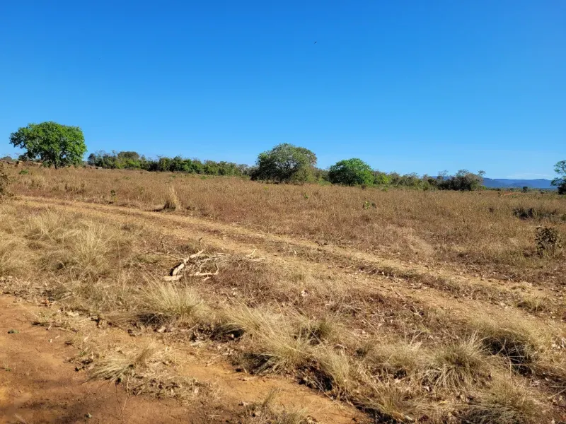 Fazenda em Brejinho de Nazaré/Tocantins — Ref JACVIG — Imagem 15