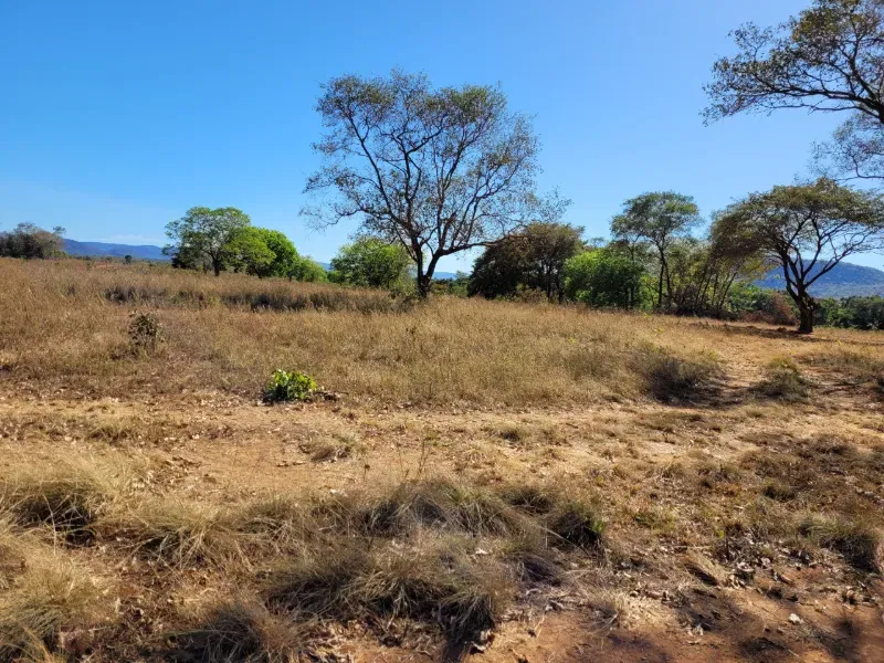 Fazenda em Brejinho de Nazaré/Tocantins — Ref JACVIG — Imagem 16