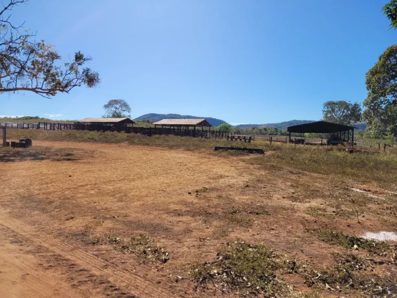 Fazenda em Brejinho de Nazaré/Tocantins — Ref JACVIG — Imagem 17