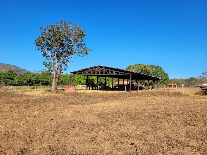 Fazenda em Brejinho de Nazaré/Tocantins — Ref JACVIG — Imagem 18