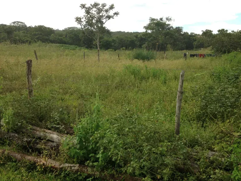 Fazenda em Formoso/Minas Gerais — Ref KTP8BF — Imagem 2