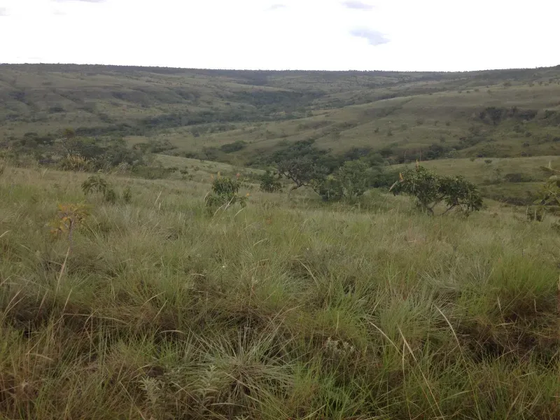 Fazenda em Formoso/Minas Gerais — Ref KTP8BF — Imagem 4