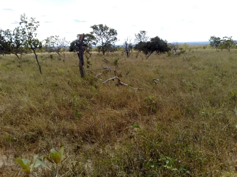 Fazenda em Formoso/Minas Gerais — Ref KTP8BF — Imagem 7