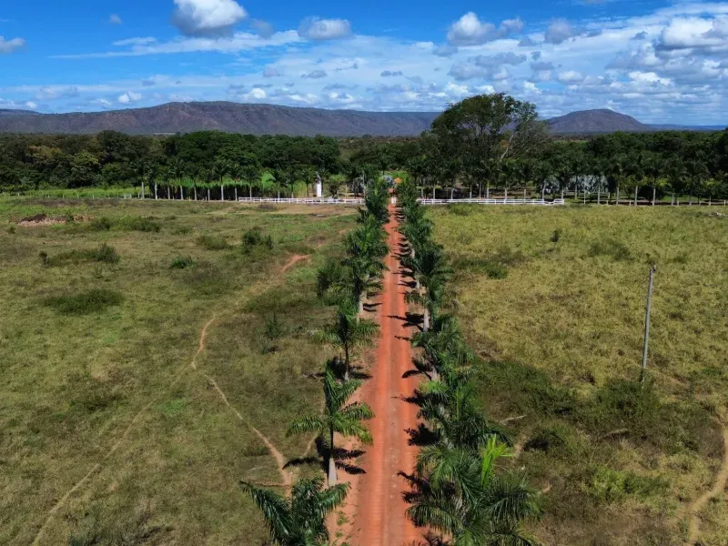 Fazenda em Buritis/Minas Gerais — Ref JAZ89J — Imagem 3