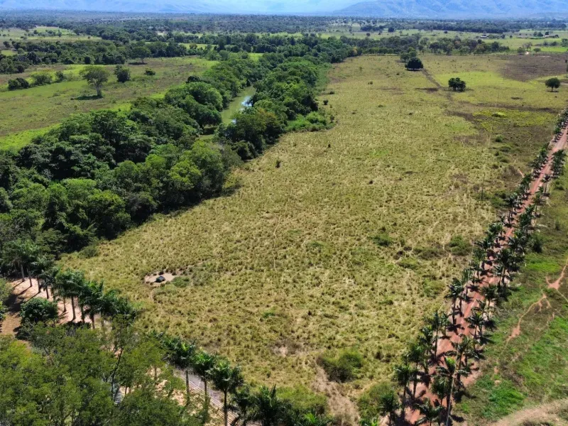 Fazenda em Buritis/Minas Gerais — Ref JAZ89J — Imagem 5