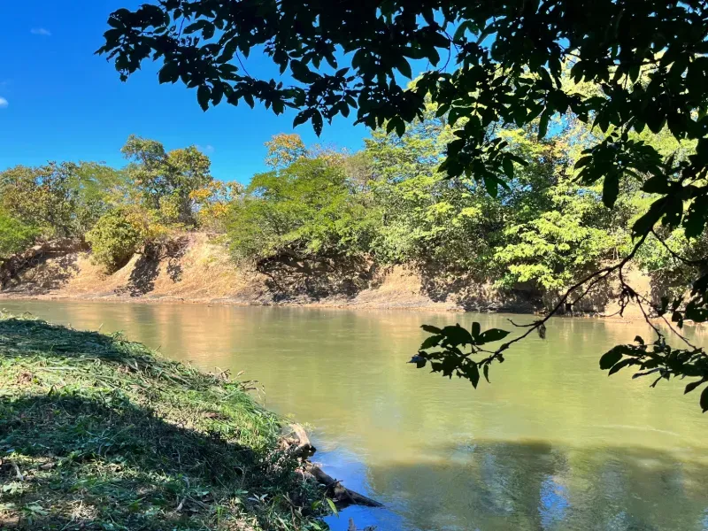 Fazenda em Buritis/Minas Gerais — Ref JAZ89J — Imagem 7