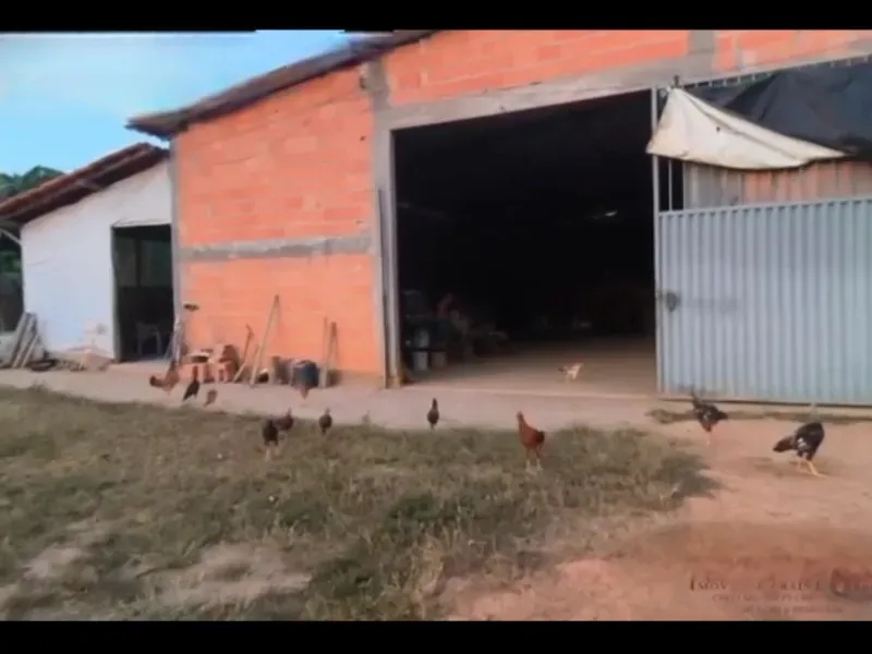 Fazenda em Buritis/Minas Gerais — Ref 4PODWW — Imagem 2