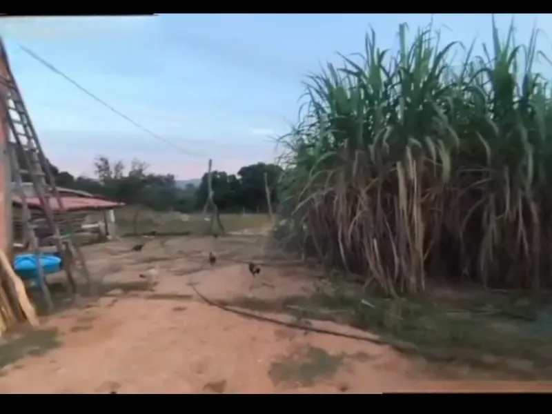 Fazenda em Buritis/Minas Gerais — Ref 4PODWW — Imagem 5