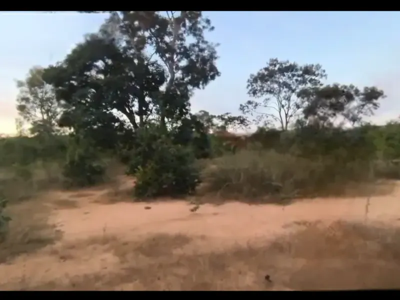 Fazenda em Buritis/Minas Gerais — Ref 4PODWW — Imagem 11