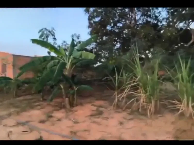 Fazenda em Buritis/Minas Gerais — Ref 4PODWW — Imagem 12
