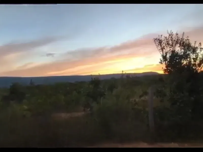 Fazenda em Buritis/Minas Gerais — Ref 4PODWW — Imagem 14