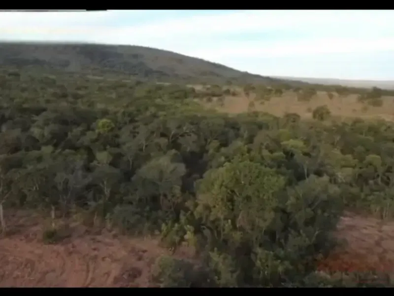 Fazenda em Buritis/Minas Gerais — Ref 4PODWW — Imagem 19