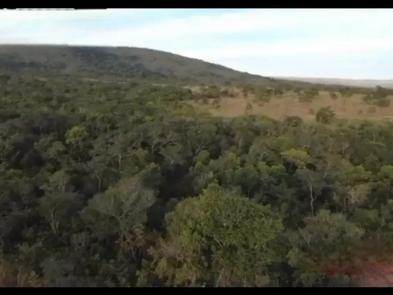 Fazenda em Buritis/Minas Gerais — Ref 4PODWW — Imagem 25