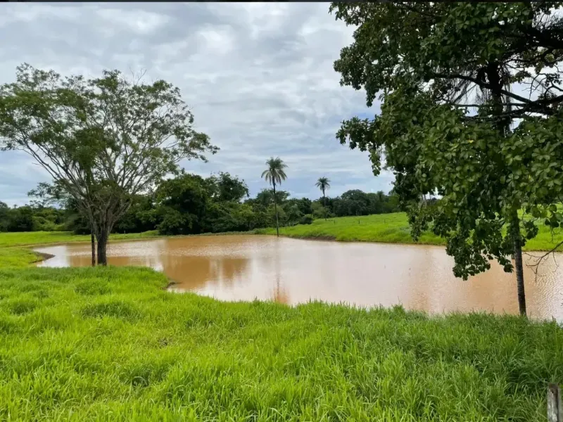 Fazenda em Cabeceiras/Goiás — Ref YI1PKK — Imagem 3