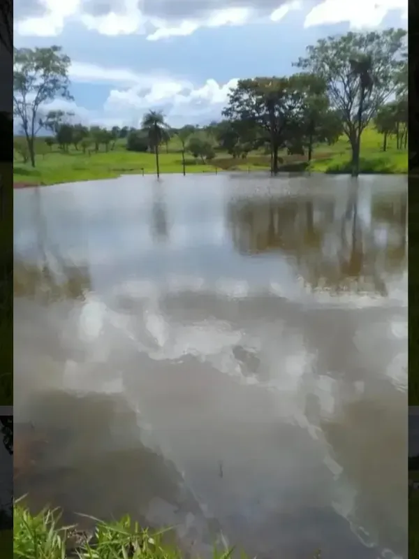 Fazenda em Cabeceiras/Goiás — Ref YI1PKK — Imagem 7