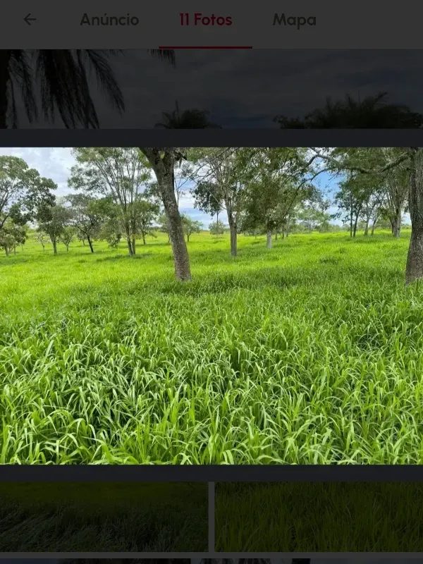 Fazenda em Cabeceiras/Goiás — Ref YI1PKK — Imagem 9