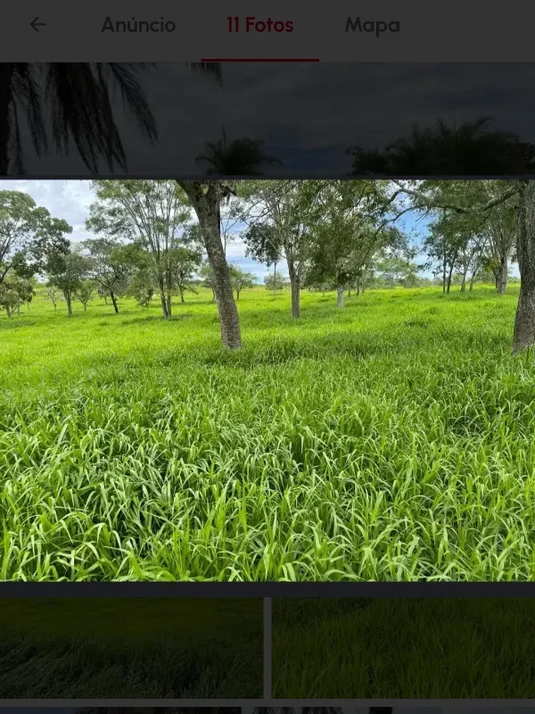 Fazenda em Cabeceiras/Goiás — Ref YI1PKK — Imagem 13
