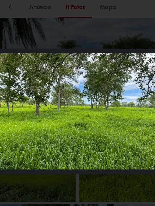 Fazenda em Cabeceiras/Goiás — Ref YI1PKK — Imagem 15
