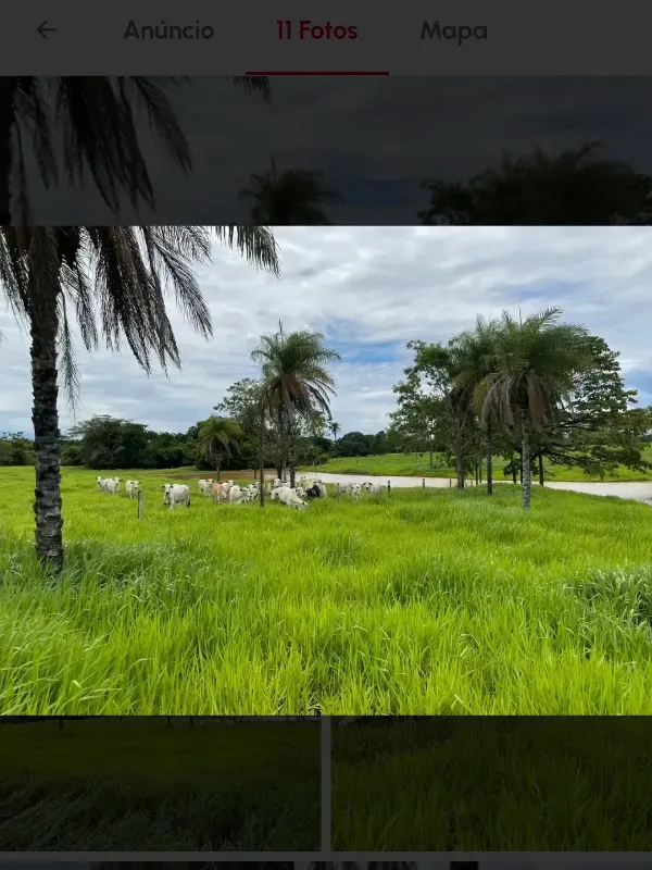 Fazenda em Cabeceiras/Goiás — Ref YI1PKK — Imagem 17