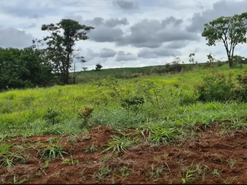 Fazenda em Cabeceiras/Goiás — Ref 0UTKKW — Imagem 5