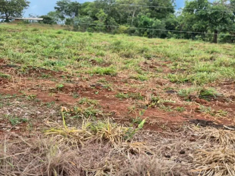 Fazenda em Cabeceiras/Goiás — Ref 0UTKKW — Imagem 6