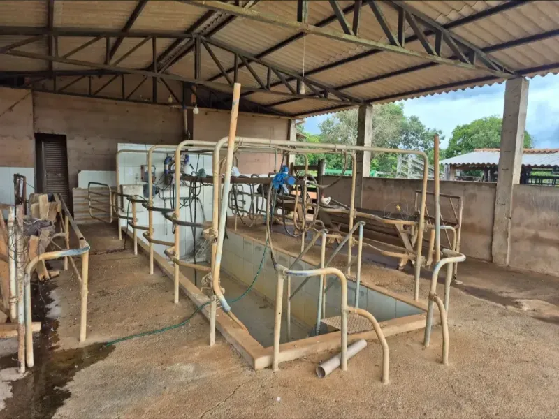 Fazenda em Cabeceiras/Goiás — Ref 0UTKKW — Imagem 8