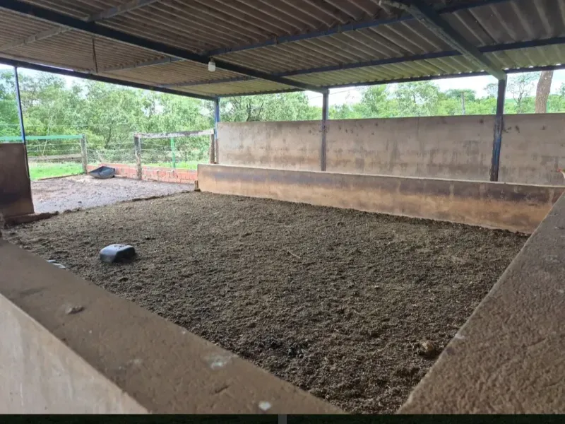 Fazenda em Cabeceiras/Goiás — Ref 0UTKKW — Imagem 15