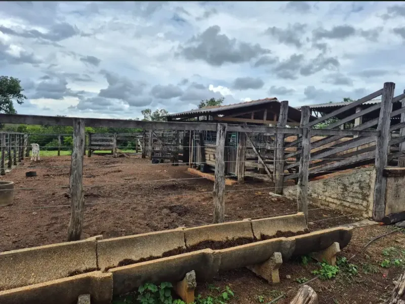 Fazenda em Cabeceiras/Goiás — Ref 0UTKKW — Imagem 18