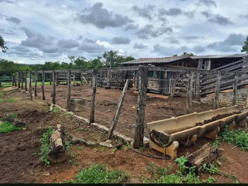 Fazenda em Cabeceiras/Goiás — Ref 0UTKKW — Imagem 19