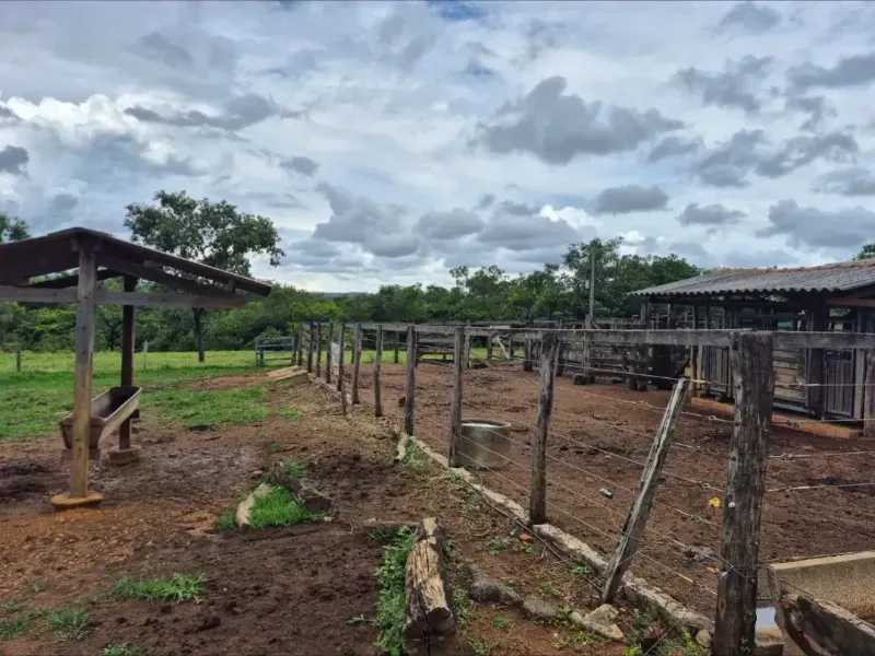 Fazenda em Cabeceiras/Goiás — Ref 0UTKKW — Imagem 20
