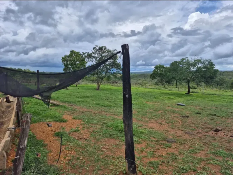 Fazenda em Cabeceiras/Goiás — Ref 0UTKKW — Imagem 21