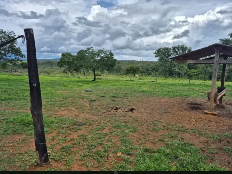 Fazenda em Cabeceiras/Goiás — Ref 0UTKKW — Imagem 22