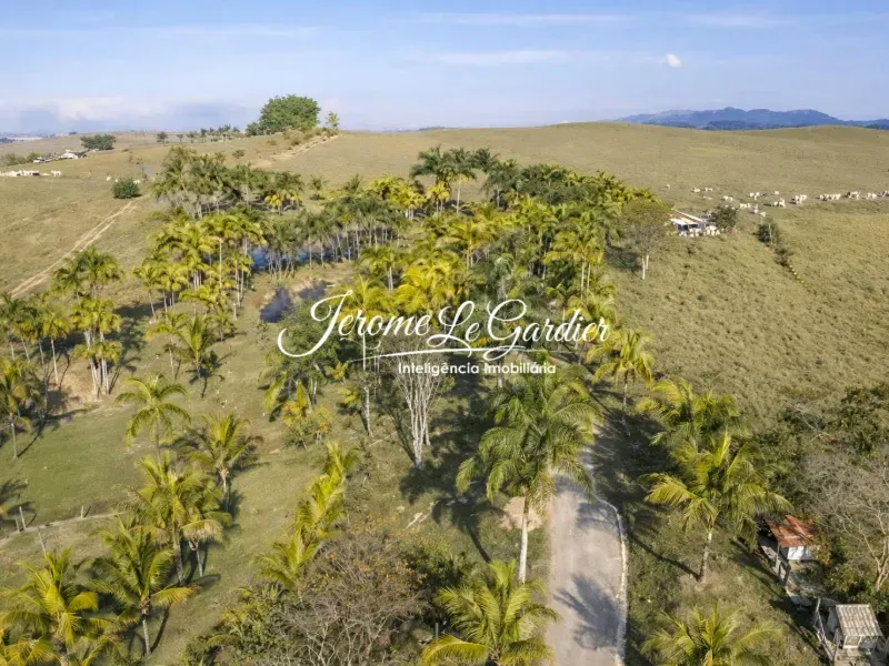 Fazenda em Caçapava/São Paulo — Ref L1YS0F — Imagem 7