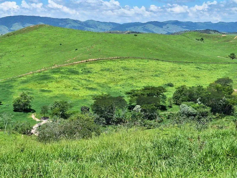 Fazenda em Cachoeira Paulista/São Paulo — Ref 6JAF75 — Imagem 9