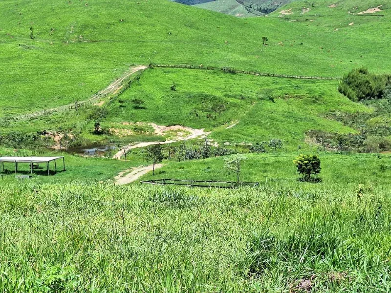 Fazenda em Cachoeira Paulista/São Paulo — Ref 6JAF75 — Imagem 10