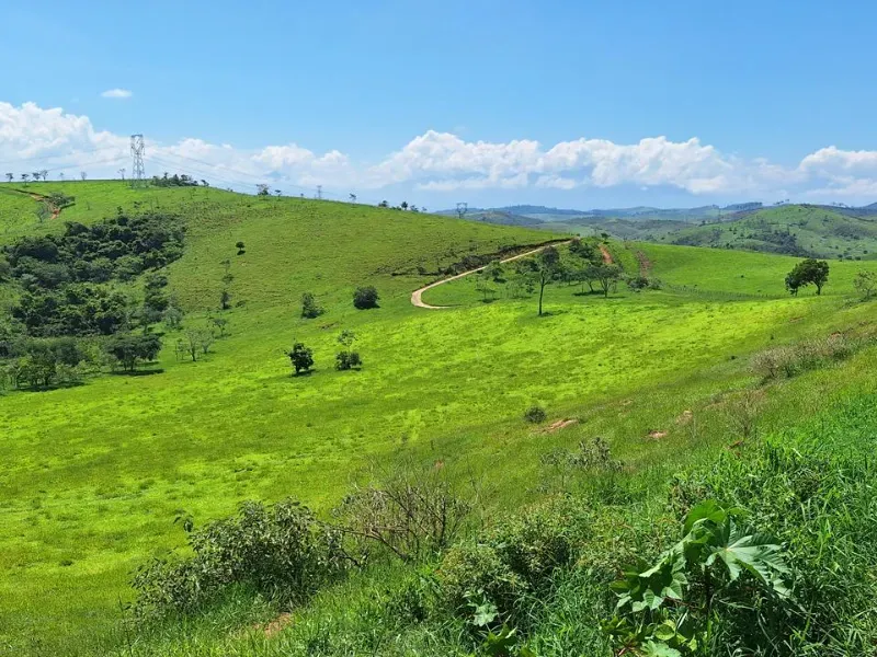 Fazenda em Cachoeira Paulista/São Paulo — Ref 6JAF75 — Imagem 12