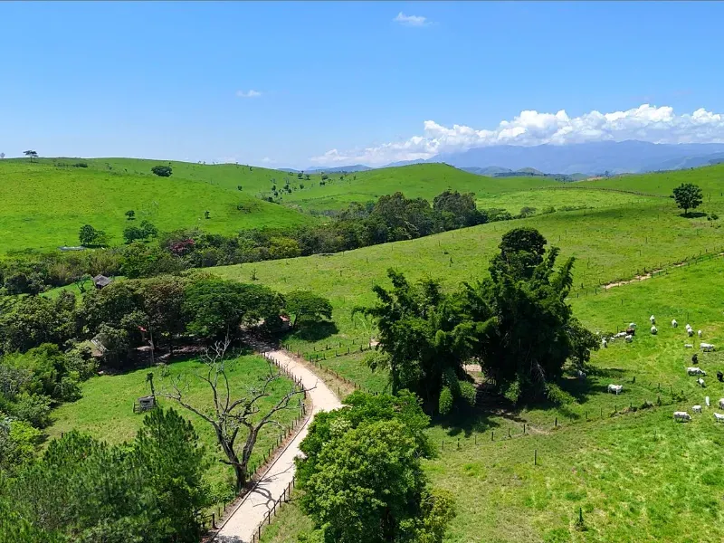 Fazenda em Cachoeira Paulista/São Paulo — Ref 6JAF75 — Imagem 18