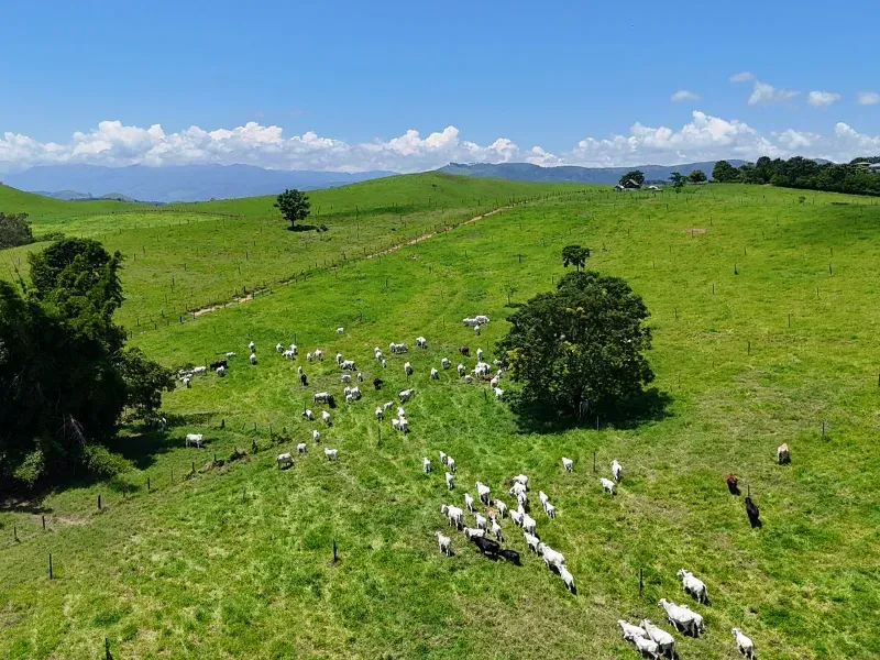 Fazenda em Cachoeira Paulista/São Paulo — Ref 6JAF75 — Imagem 19