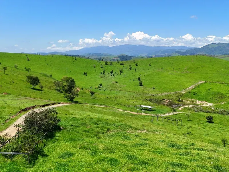 Fazenda em Cachoeira Paulista/São Paulo — Ref 6JAF75 — Imagem 23