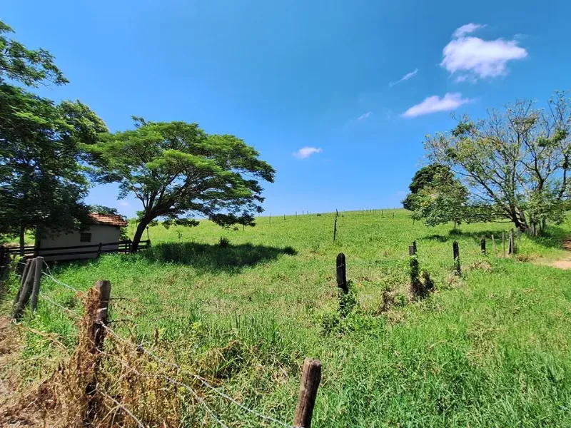 Fazenda em Cachoeira Paulista/São Paulo — Ref 6JAF75 — Imagem 28