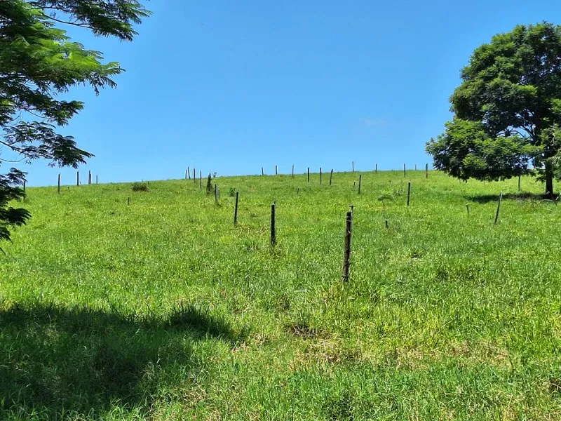Fazenda em Cachoeira Paulista/São Paulo — Ref 6JAF75 — Imagem 29